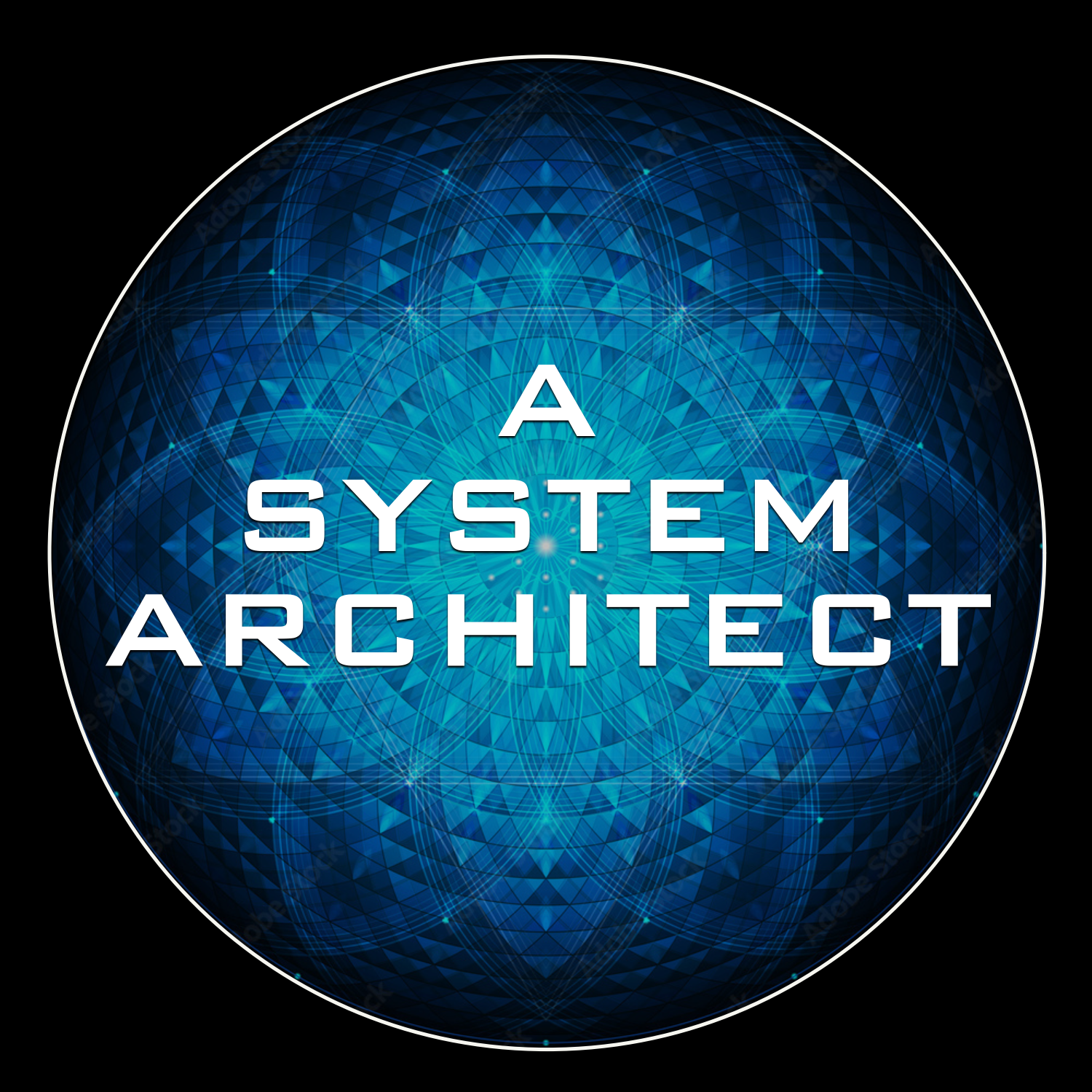 A System Architect